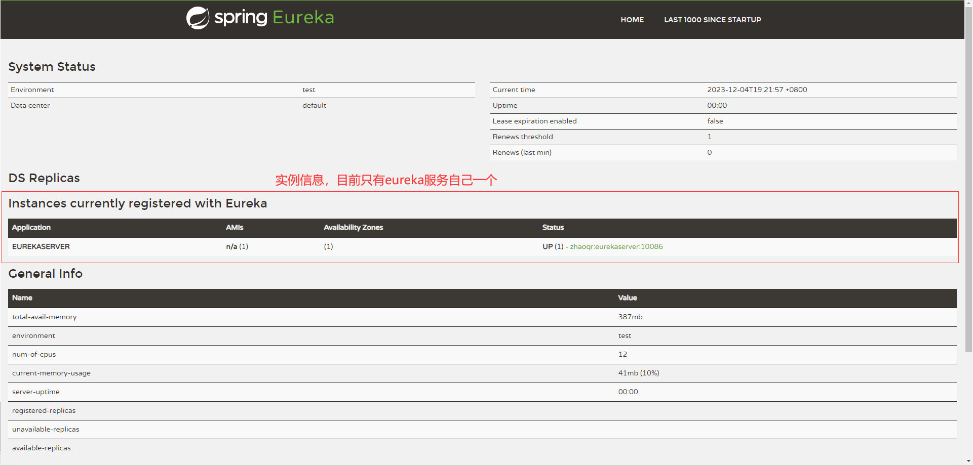 eureka服务信息